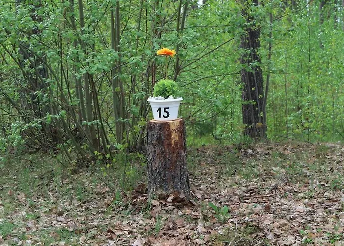 Apartamento Kuivaketveleen Piha